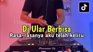 DJ ULAR BERBISA - RASA RASANYA AKU TELAH KELIRU VIRAL TIKTOK 2024