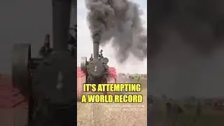 Ghas kaatne wali machine