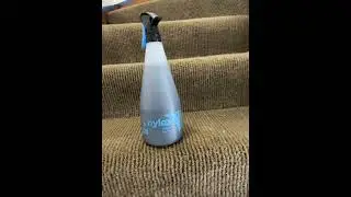 Dyeing Old Carpet Using DyeMore Synthetic Fibre Dye:  Part 3