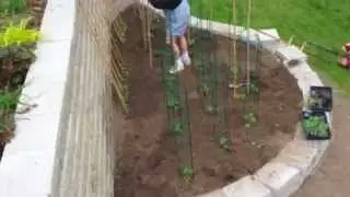 Ландшафтный дизайн огорода