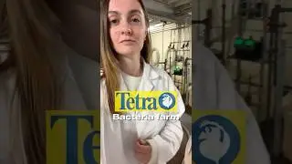 Visiting the bacteria farm! #aquarium #aquascape #fishtank #aquascaping #aquascaping #fishaquarium