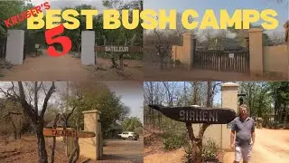 Kruger's best five Bushveld Camps