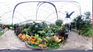 360 panorama - Spring Bulb Show