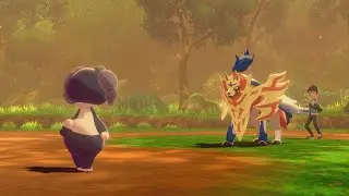 L'Epreuve Wimessir - Partie 17 (Pok&eacute;mon &Eacute;p&eacute;e/Bouclier Solo Challenge)