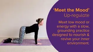 Meet the Mood - Up Regulate / Low Mood or Energy / Depression