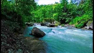 Tranquil River Ambience &ndash; Soft Stream and Forest Sounds for Deep Sleep and Inner Peace