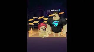When Mr Beast Dog Joins 99 Nights..