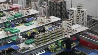 Processing and sorting line for lemons