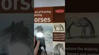 Book drawing and painting horses Walter Foster #review #drawing #painting