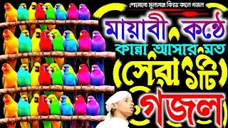 মায়াবী কন্ঠে কান্না আসার মত সেরা একটি গজল || শোনোগো মূল্যগঞ্জ বিদায় কালে গজল |M. D. Kamal Creation