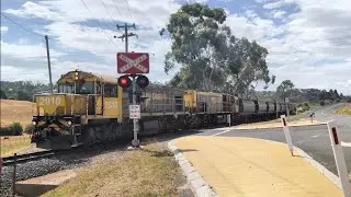 Tasrail 2010 TR16 #55 train Opossum Road