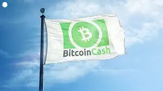 Is Bitcoin Cash Undervalued In 2021? - Price Prediction & Bought $50k 🚀