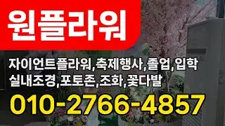 충주자이언트플라워업체 충주시 자이언트플라워 전문업체