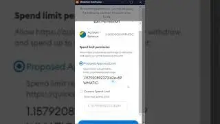 Protecting Your Crypto: How to Revoke Infinite Token Approvals