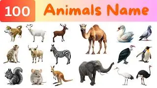 100 Animals Name in English for Kids & Adults | Picture Vocabulary Lesson | Master English RP.