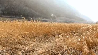 July Skies - Girl on the hill