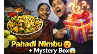 Pahadi Nimbu Sana 😋 | Family Ke Sath Mystery Box Game 😱 | Full Masti Vlog