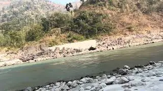 Tribeni (Saptakoshi)