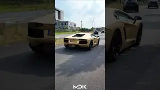 EXTREMELY LOUD Lamborghini Aventador with Capristo Exhaust in Tilburg!