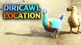Hogwarts Legacy Diricawl Location