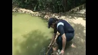 Treating Acid Mine Drainage with EcoTabs: Bioremediation Success in Krugersdorp