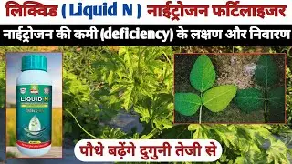 लिक्विड नाईट्रोजन फर्टिलाइजर | Liquid N | तरल नाईट्रोजन खाद | Nitrogen Fertilizer |