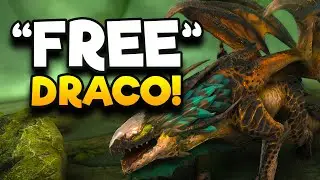 DRACO TOURNAMENT? ❗WARNING❗ | RAID SHADOW LEGENDS