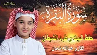 سورة البقرة , الطفل عبدالله شعبان , لتحصين البيت و طرد الشيطان و السحر  Surah Baqara