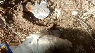 How I freeze proof my predator traps