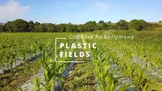 Plastic Fields (Maze) Old Pk Rd Ballymena Pt2 (4K)
