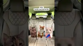 family road trip be like 🤣
