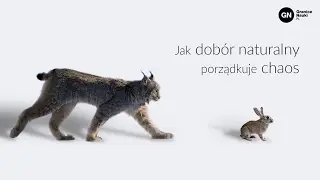 Konkurencja vs współpraca: jak dobór naturalny porządkuje chaos, Szymon Drobniak