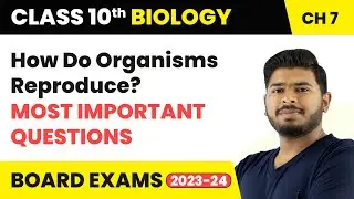 How Do Organisms Reproduce - Most Important Questions | Class 10 Science Chapter 7