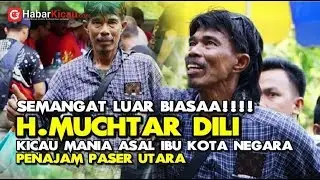 FIGHTER...H.Muchtar Dili, Kicau mania asal penajam paser utara.