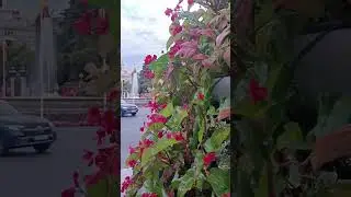 Pedro Infante - Cien A&ntilde;os ✨ Exploraci&oacute;n Global: Ciudades, Naturaleza y Boleros Inmortales.