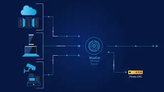 BlueCatSecurity - ScreenCast Motion Graphics Animated Video