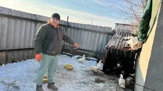 Кого оставили на племя?! Измерил Глорию. 