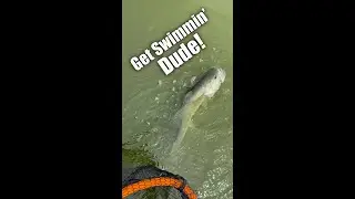 Catch and release Kayak Bass fishing.