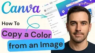 How to Copy a Color From an Image in Canva | Canva 2025