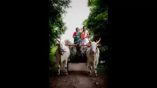 Village Maternity