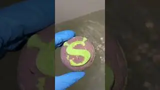 Shrek Swamp Bath bomb pH check @LUSH @LushArchive ​⁠