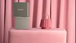 Mini Lantern Bag Pleated