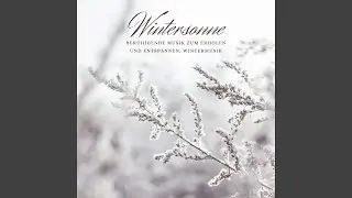 Wintersonne