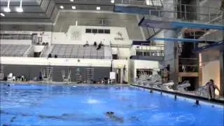 3 Meter Compulsories -Kai Hoffmann