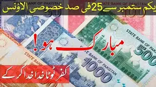 Special Allowance Punjab Govt Employees [Final Update] | 25 Percent Special Allowance