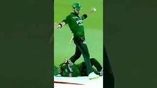 Pak vs uae today #cricket #cricketnews #abrarahmed  #shortsfeed #shorts #shortvideo