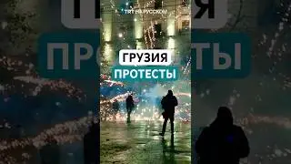 Грузинская полиция дубинками и водометами разгоняет проевропейский протест в Тбилиси