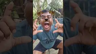 милый корги-экшн🤣🥰😁P6382