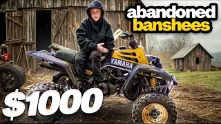 Rare 1998 Barn Find Banshee For $1000