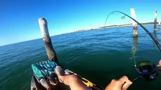 Kiptopeke Concrete Ships Slam Trout Puppy Drum Tautogs and Sheepshead